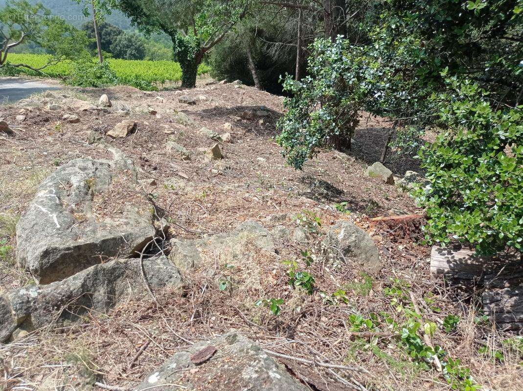 Terrain à POMMIERS