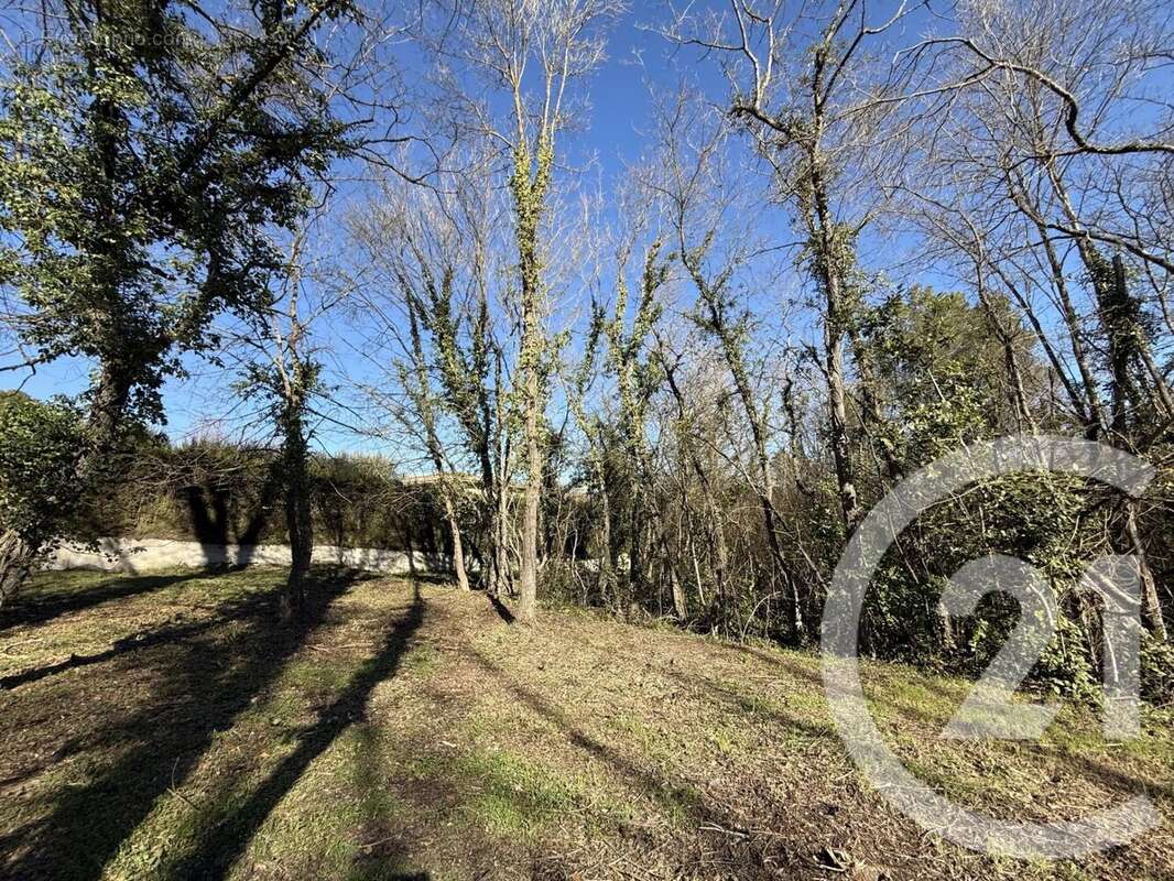 Terrain à VALBONNE