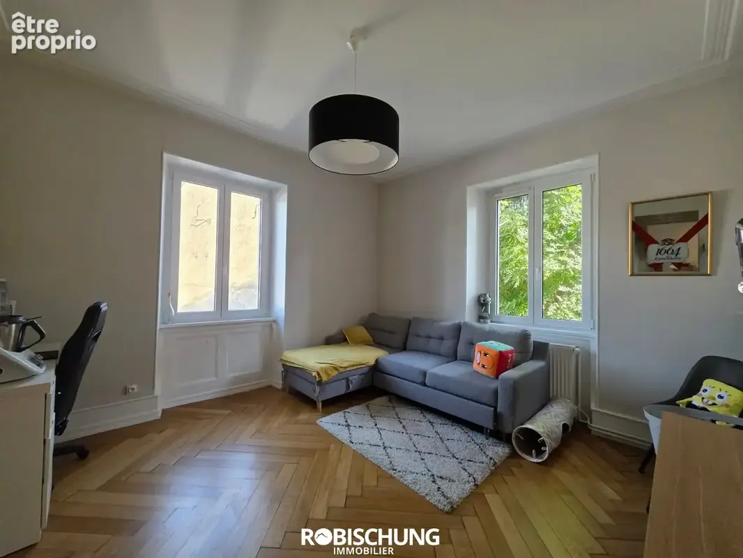 DANNEMARIE : Appartement de caractère avec grande terrasse - photo 8