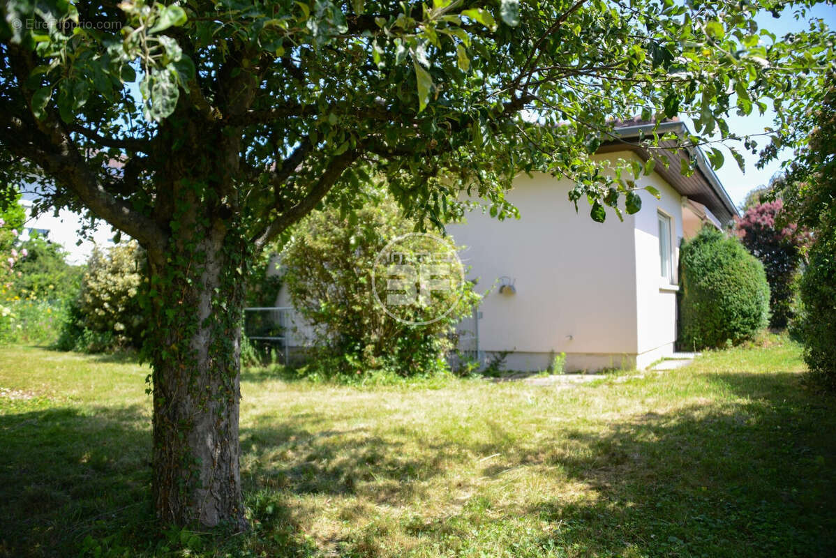Maison 101 m² à Hegenheim  - photo 9