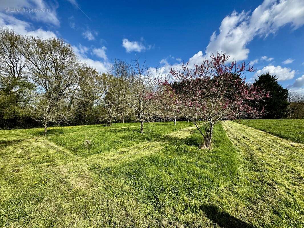Maison à LE GIROUARD