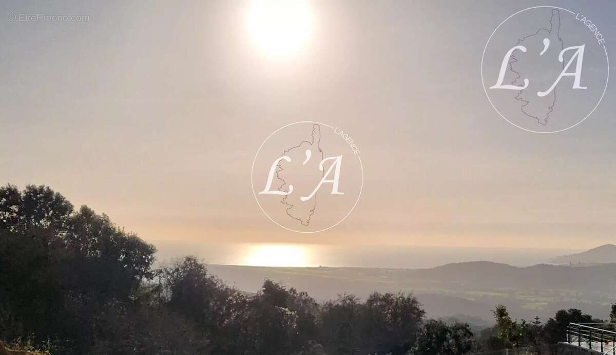 Terrain à BASTELICACCIA