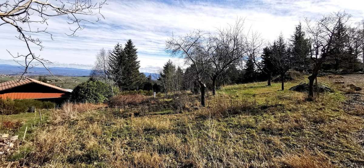 Terrain à SAINT-JEAN-SOLEYMIEUX