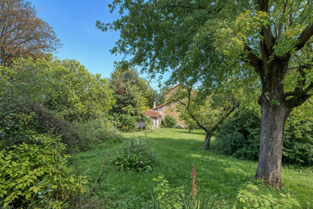 Maison à SAINT-CYR-AU-MONT-D'OR