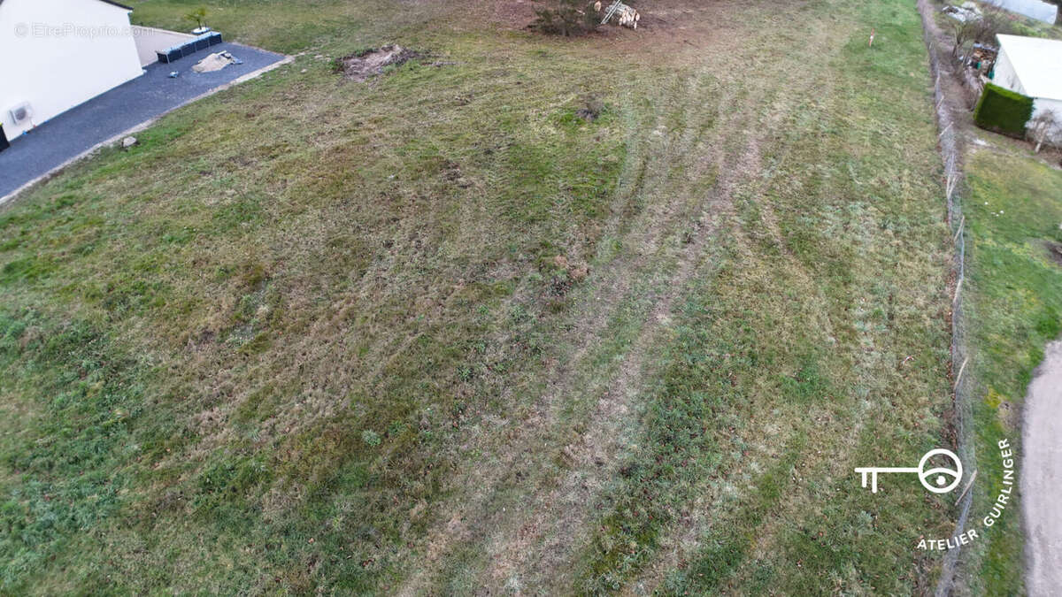 Terrain à MONTRIEUX-EN-SOLOGNE