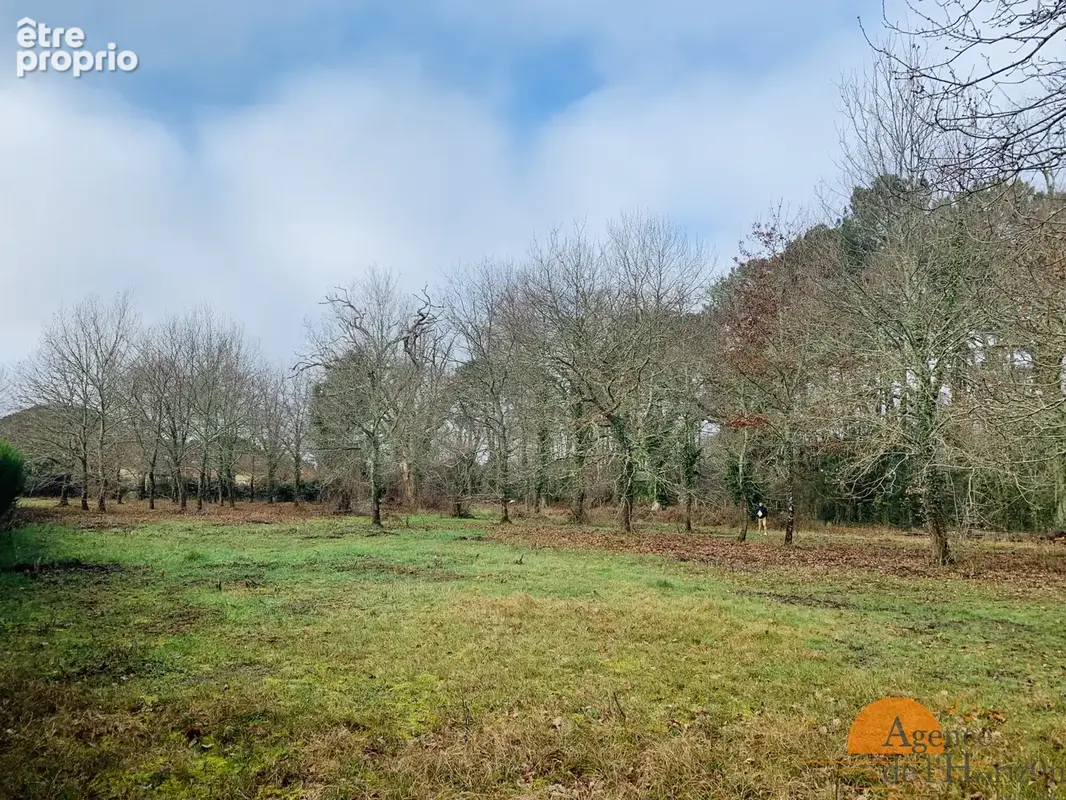 LEGE CAP FERRET - Terrain à bâtir viabilisé de 780 m2 libre constructeur - photo 2