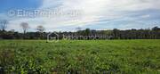 Terrain à ARTIGUELOUTAN