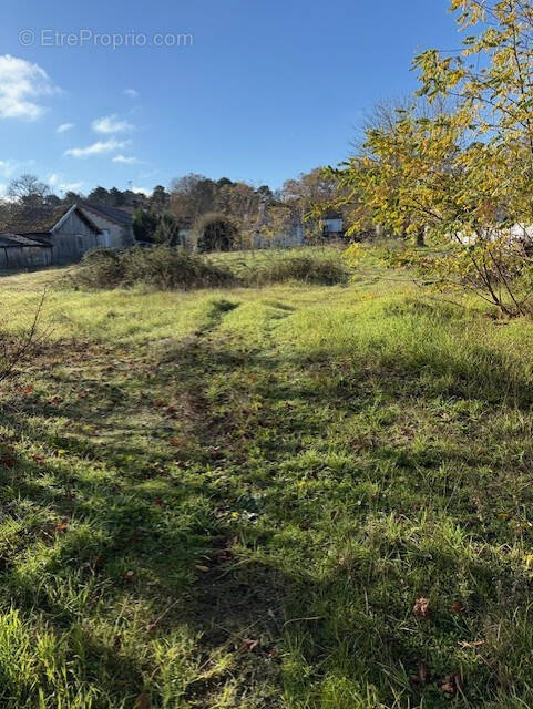 Terrain à SAINT-SYMPHORIEN