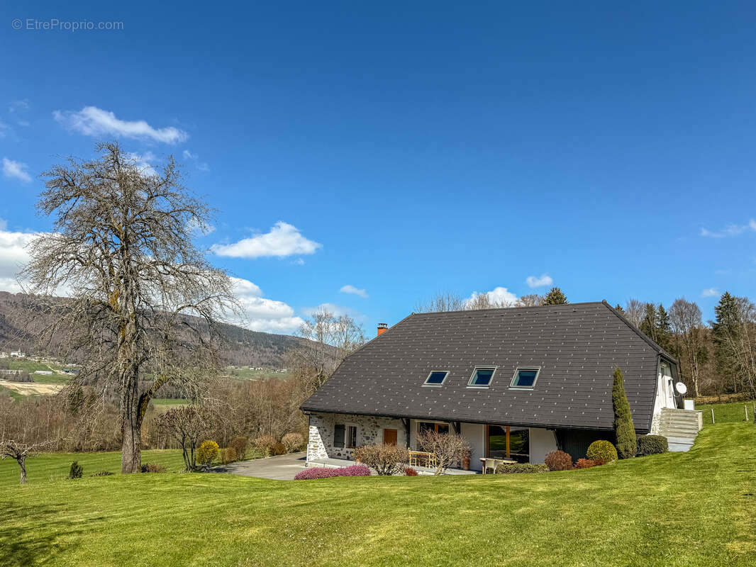 Maison à MENTHONNEX-EN-BORNES