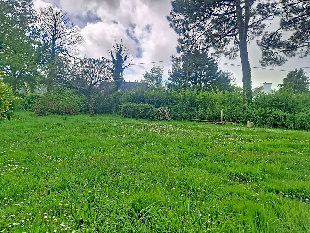 Terrain à SURZUR