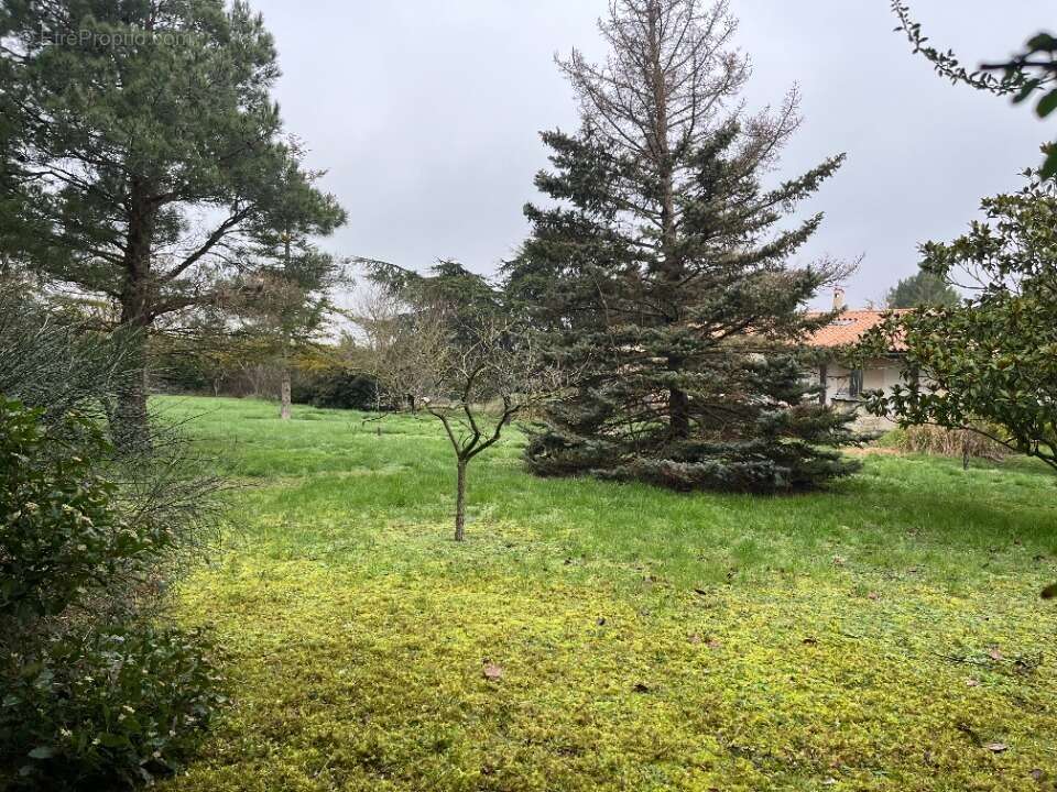 Terrain à VILLENEUVE-LA-COMPTAL