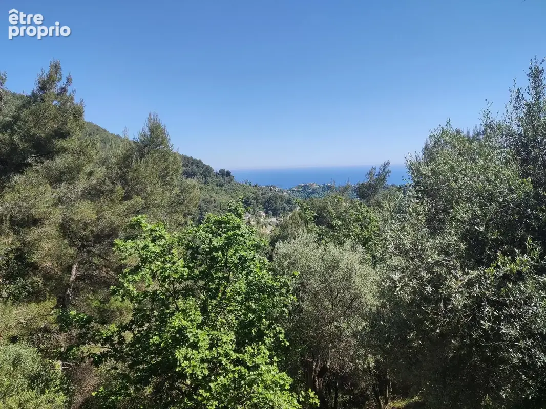 Un coin de paradis pour les amoureux de nature et de calme - photo 24