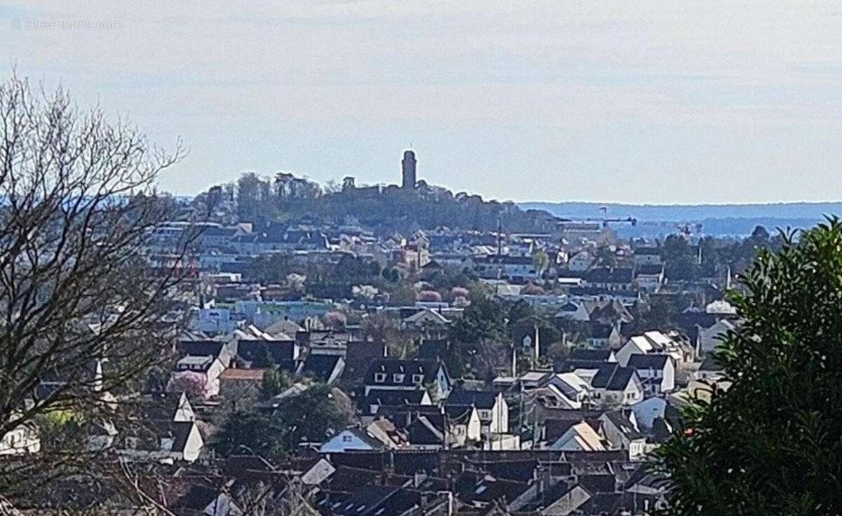 Photo 3 - Terrain à LA VILLE-DU-BOIS