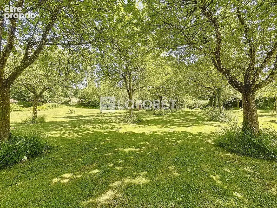Étang 2 Hectares avec chalet, bois et dépendances BRIOUZE - Normandie - photo 14