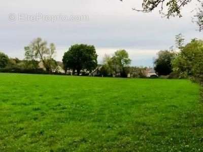 Terrain à LE BREUIL-EN-AUGE