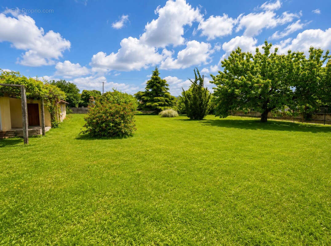 Exclusivité Villa d'architecte   Élégance, volumes et cadre privilégié - photo 2