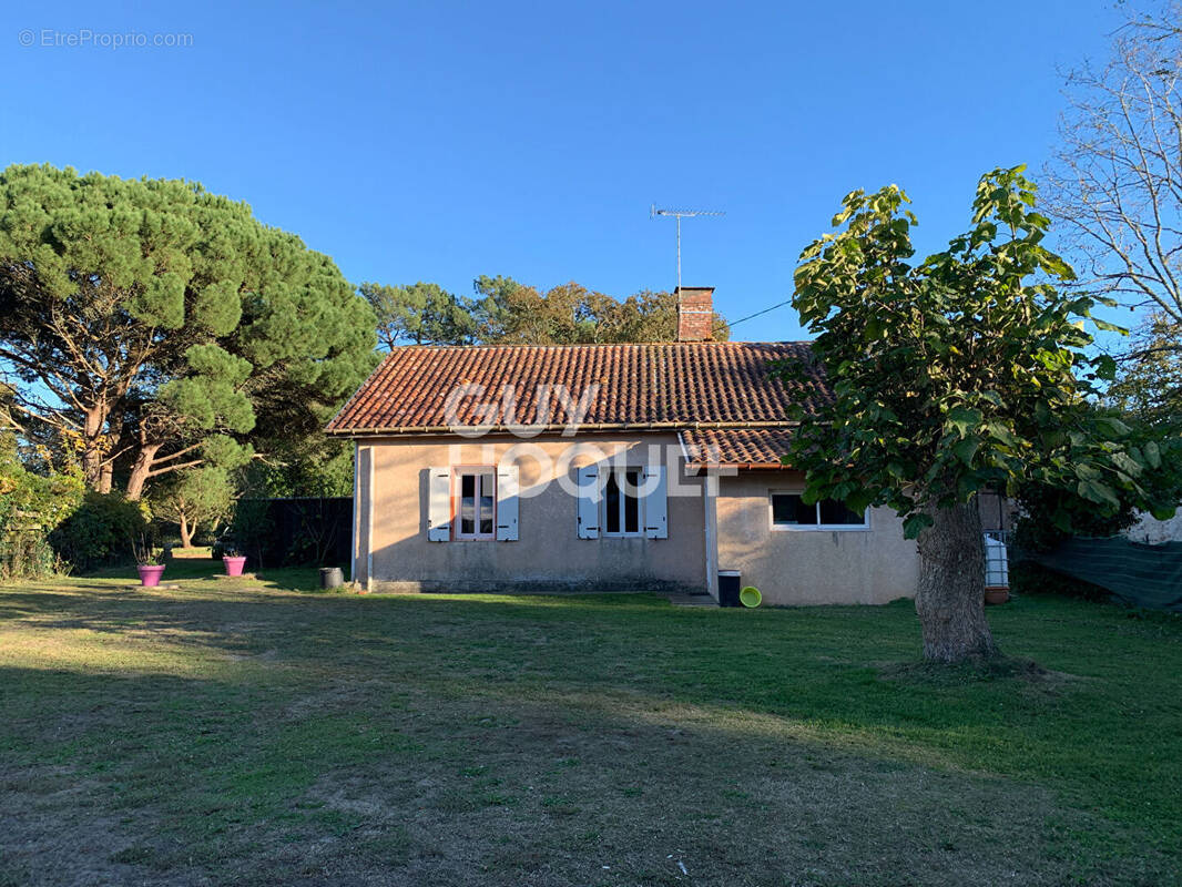 Maison à SEIGNOSSE
