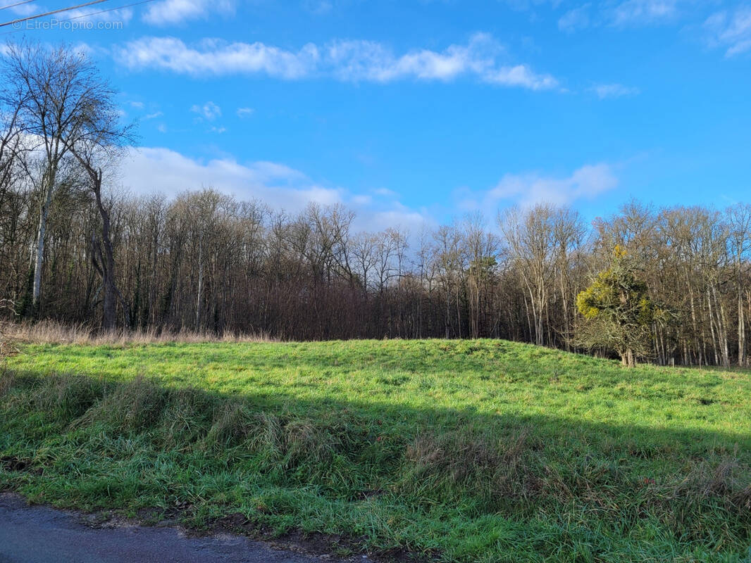 Terrain à APPOIGNY
