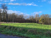 Terrain à APPOIGNY