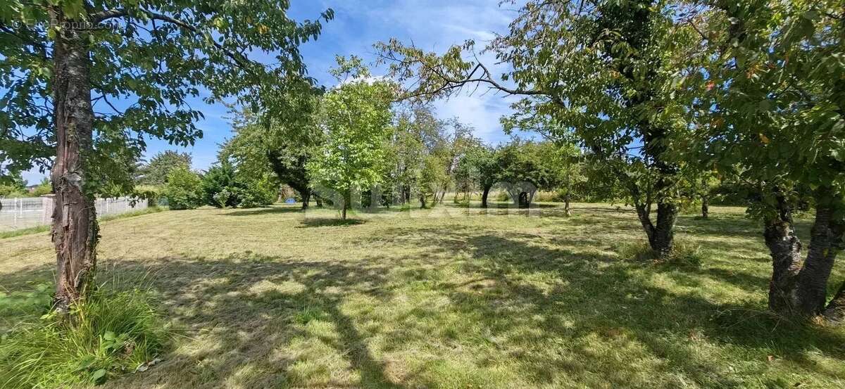 Terrain à CHAMPVANS