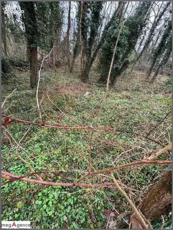 Terrain de loisir - photo 2