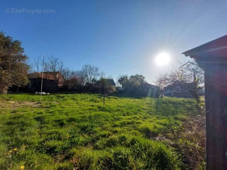 Terrain 882 m² à Muneville-Sur-Mer  - photo 3