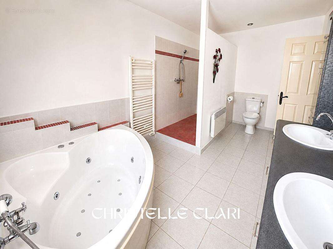 Domaine 374 m² sur terrain de 3,59 ha - photo 13