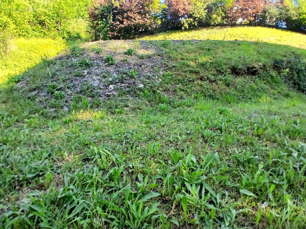 Terrain 546 m² à Laissaud  - photo 6