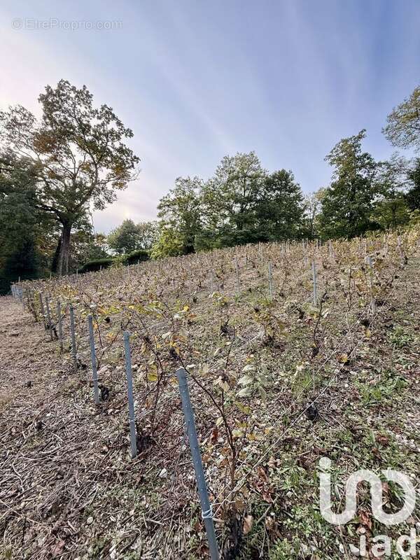 Photo 5 - Terrain à CHATEAU-THIERRY