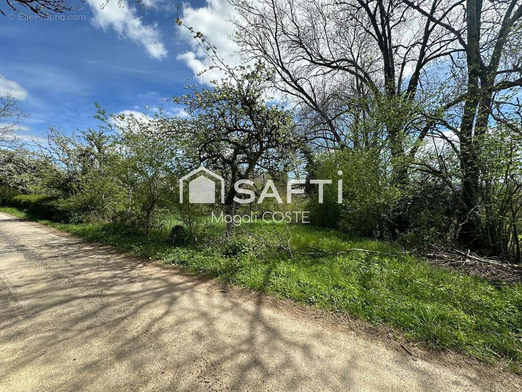 Photo 4 - Terrain à VABRE