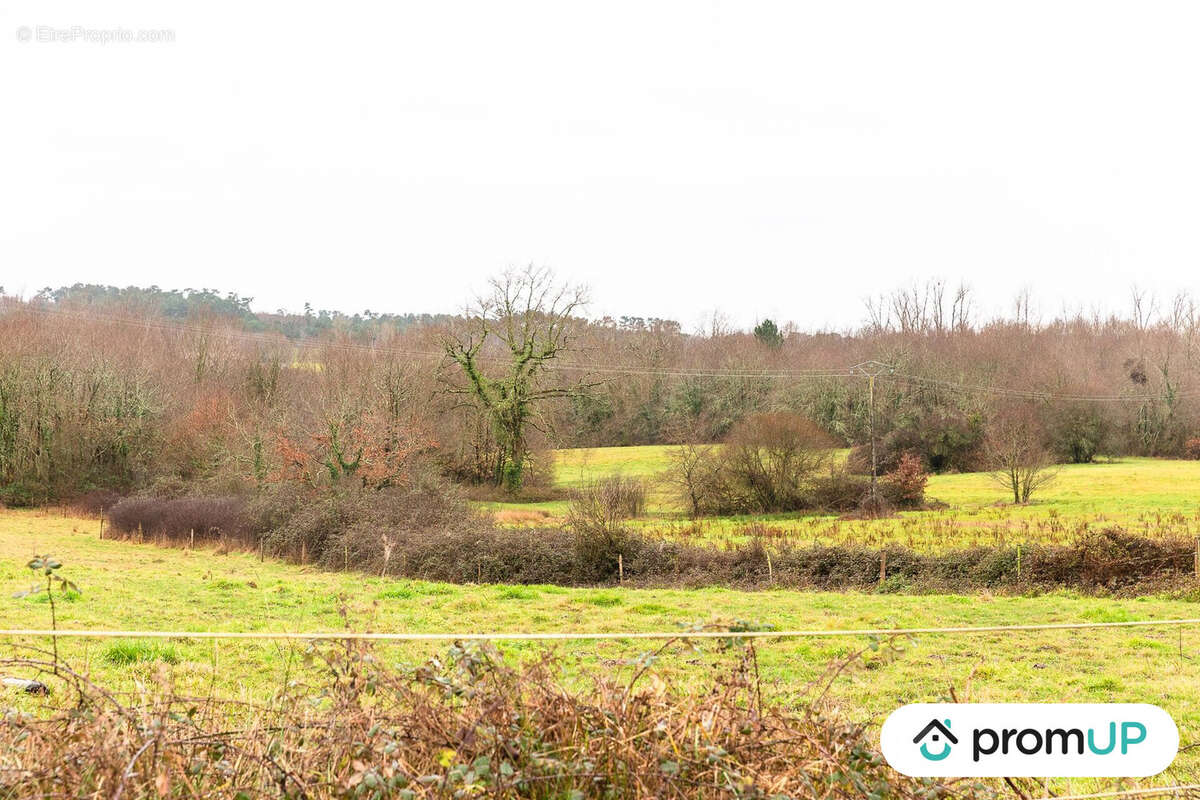 Terrain à BOISREDON