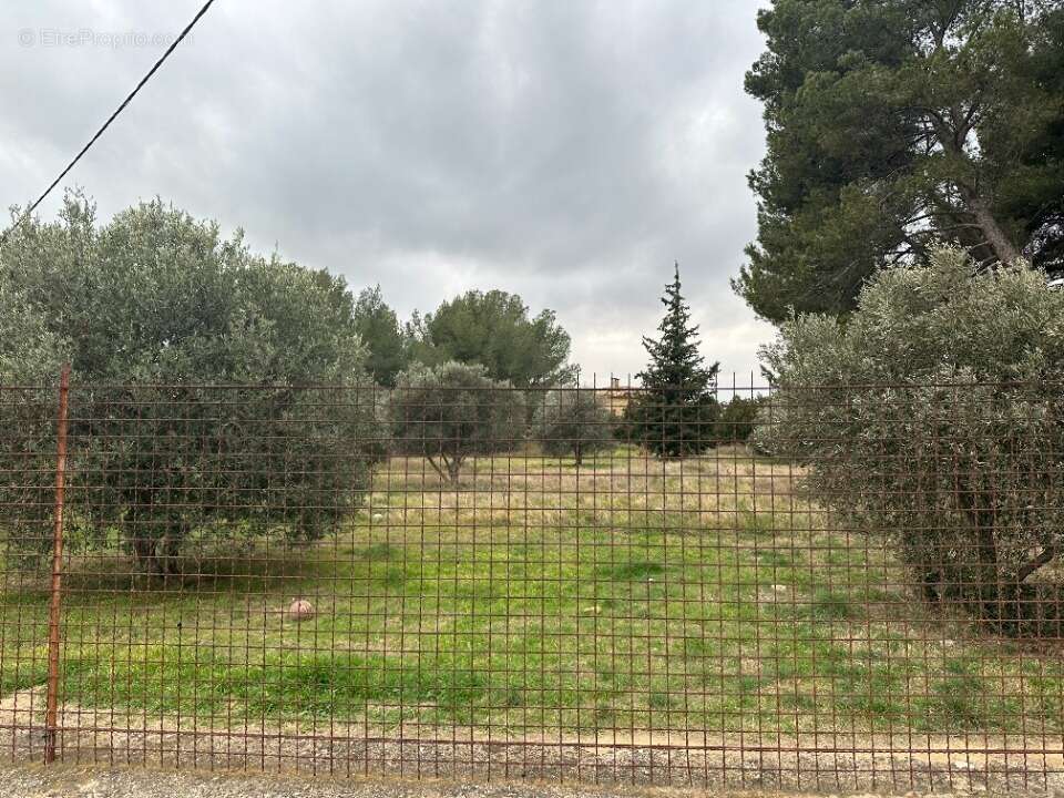 Terrain à SAINT-CHAMAS