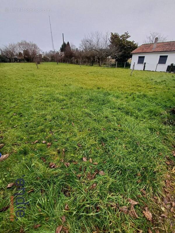 Terrain à PIEGUT-PLUVIERS