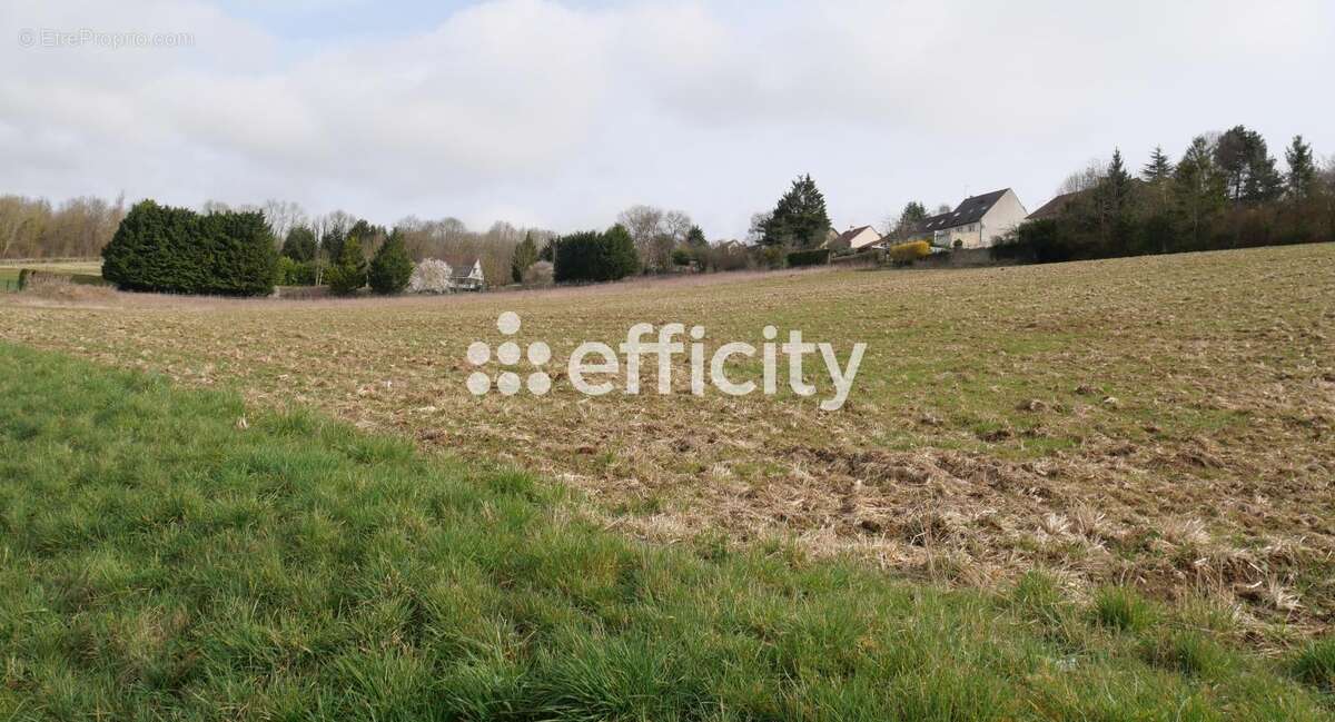 Terrain à SAINTE-GENEVIEVE