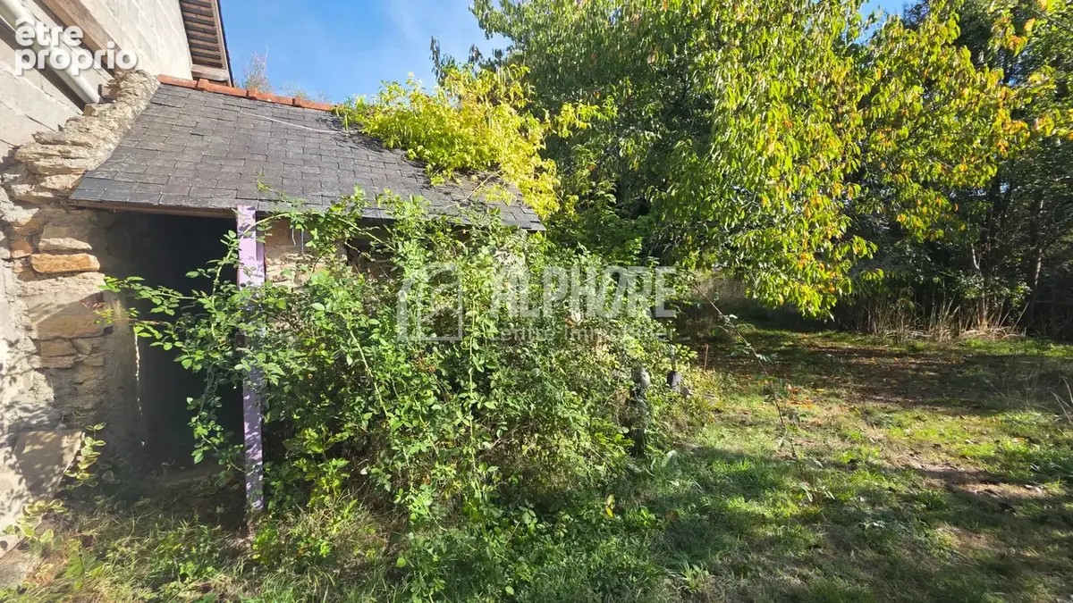 Opportunité de division - 2 maisons + 1 terrain constructible - photo 11