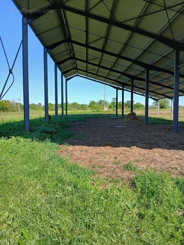 Terrain à SAINT-MARTIN-DE-RIBERAC