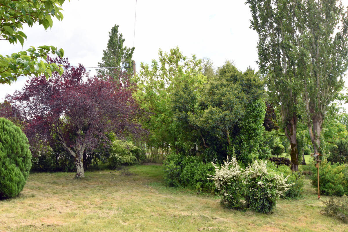 Photo Terrain à Montauban au prix de 77 000€