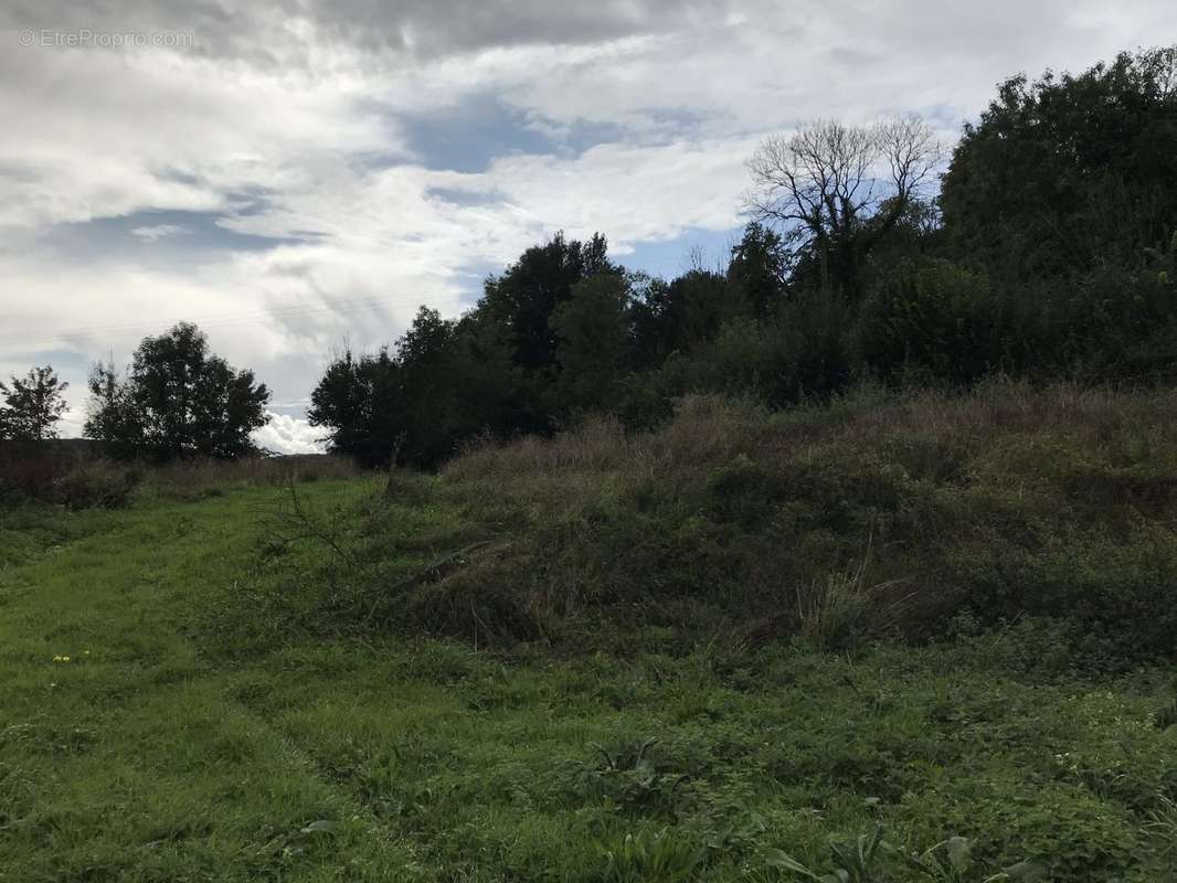 Maison à CUVERVILLE-SUR-YERES