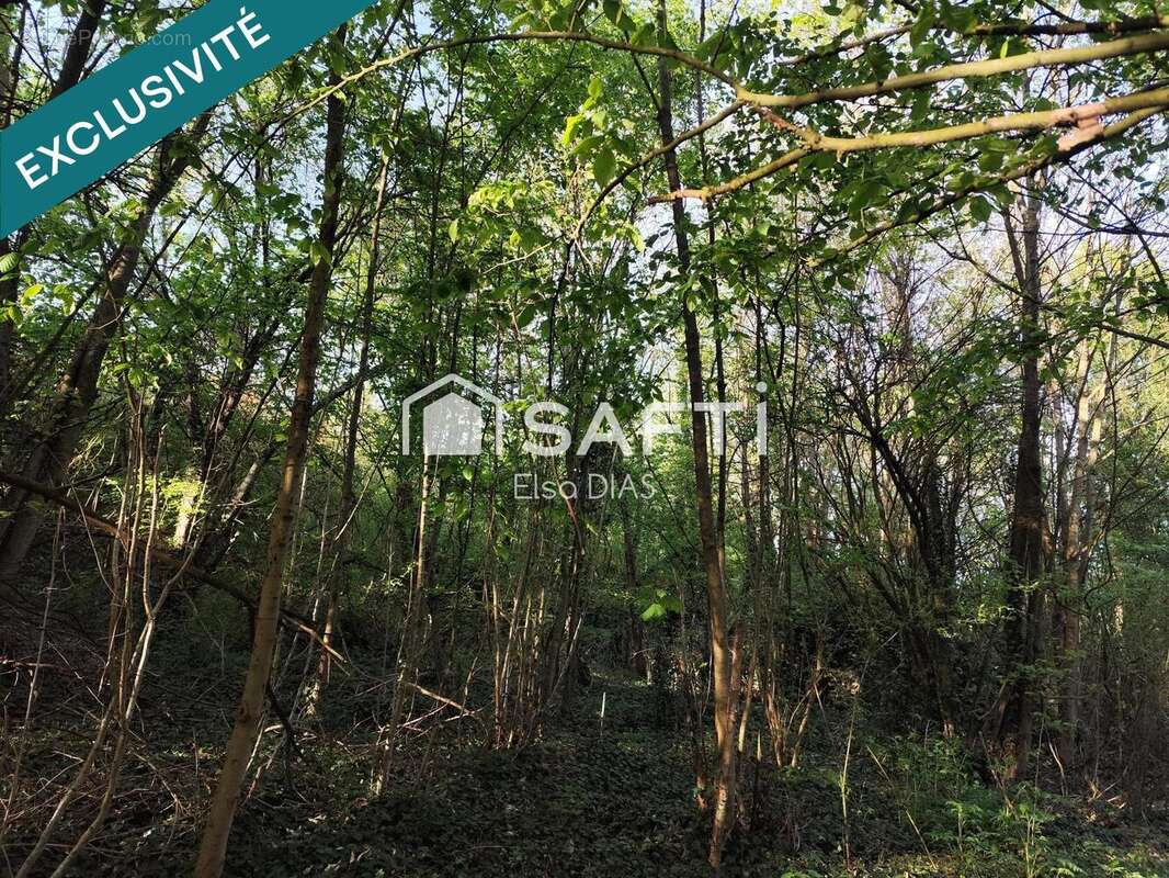 Photo 3 - Terrain à CHATEAU-THIERRY