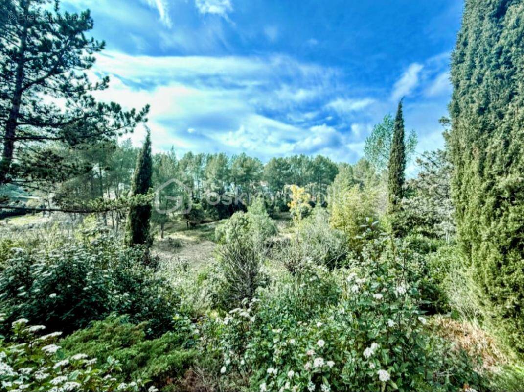 Maison à MONTPELLIER