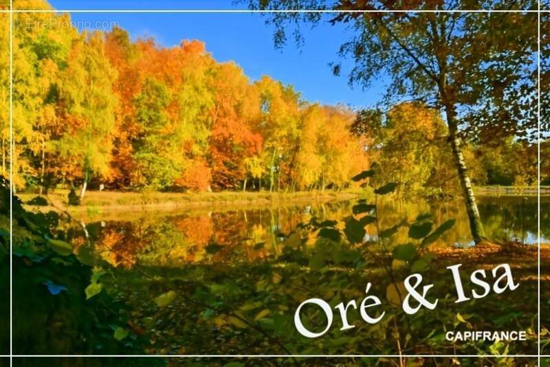 Terrain à SAINT-DESIRE