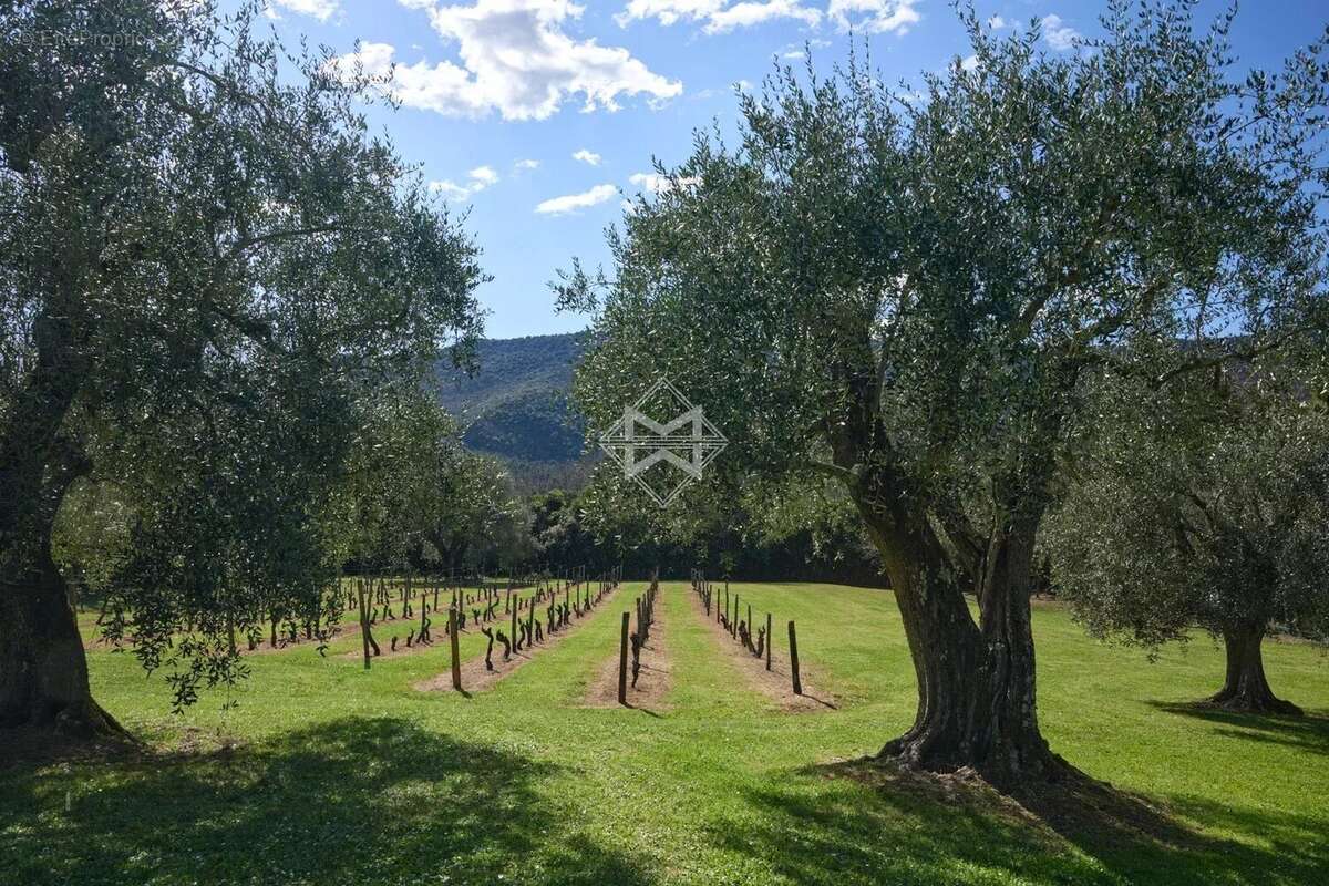 Exclusivité - Propriété d’exception – Arrière-pays niçois - photo 14