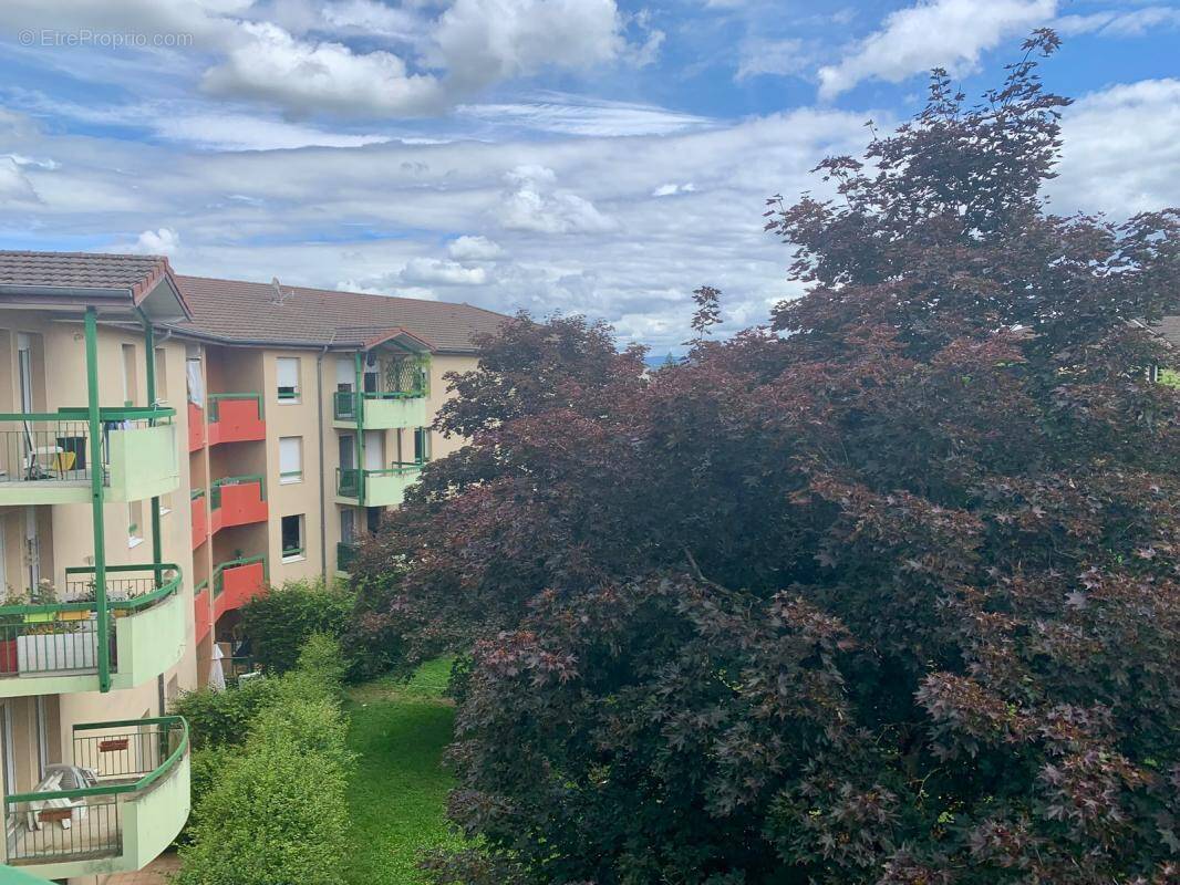 Appartement à BOURG-EN-BRESSE