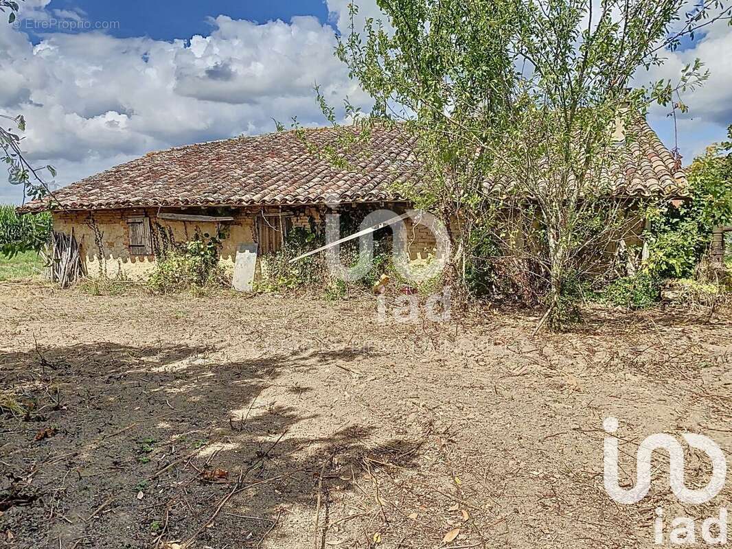 Photo 4 - Maison à NEGREPELISSE