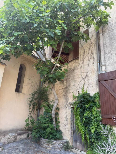Maison à ARBORAS