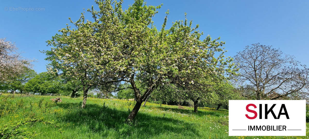 Terrain à SAINT-JEAN-KOURTZERODE