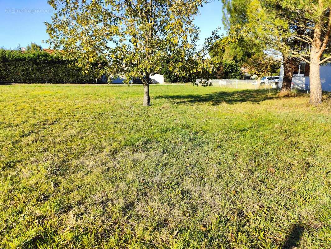 Photo 6 - Terrain à FENOUILLET