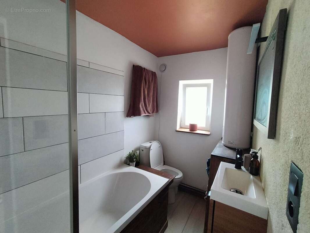 Maison 42 m² à Saint-Aubin-Du-Desert  - photo 5