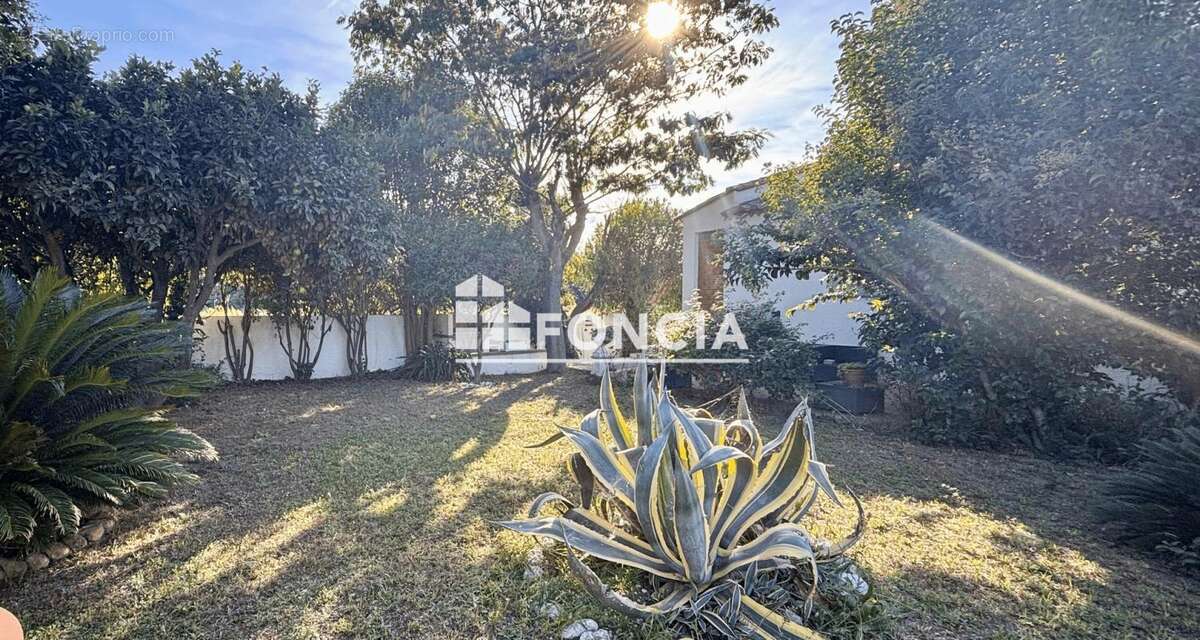 Maison à VILLELONGUE-DE-LA-SALANQUE