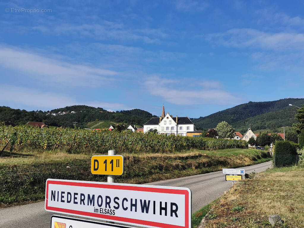 Appartement à NIEDERMORSCHWIHR